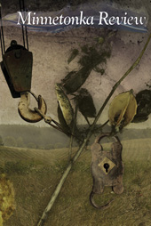 Issue Three Preview